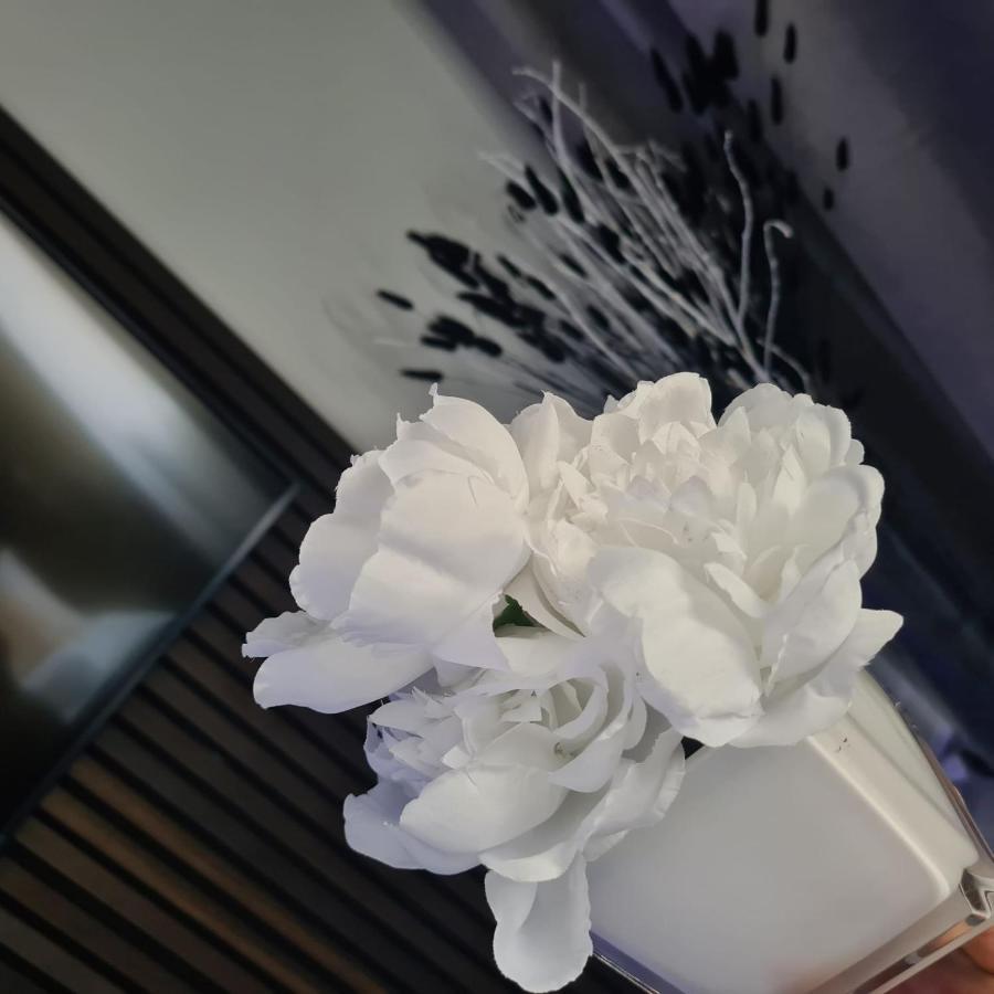 Apartament Luxury 9Ine Penthouse With Garden & Jacuzzi Birmingham Zewnętrze zdjęcie